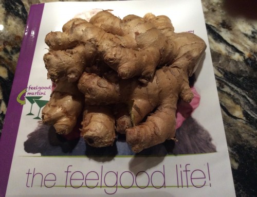 #thefeelgoodlife with Ginger